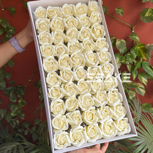 Scented Rose - Off White Full Box (50 Pieces)