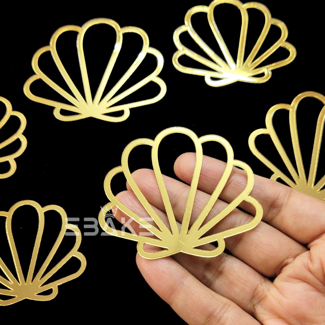 Acrylic Shells Set (6 Pieces)