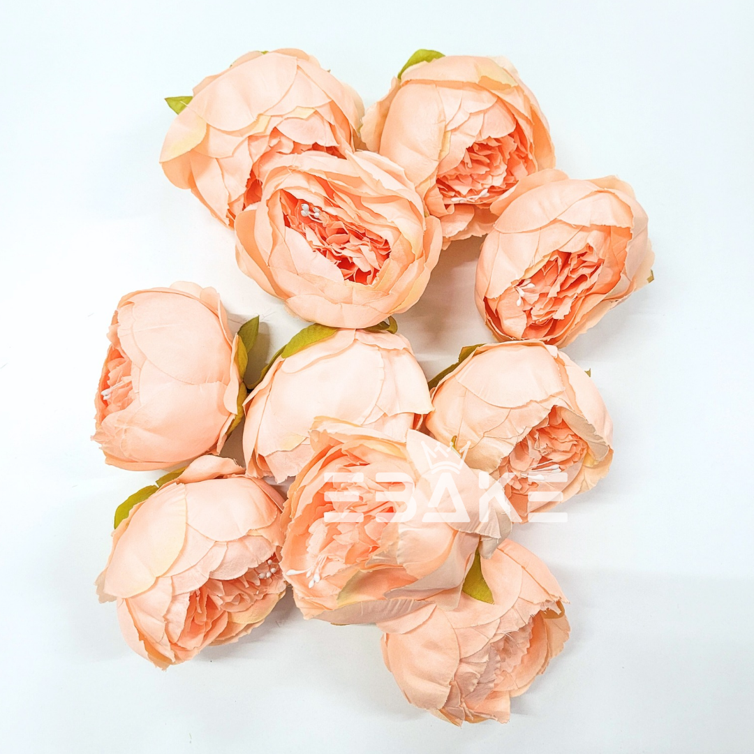 Large Peony - A155 Peach (Jumbo Peony)