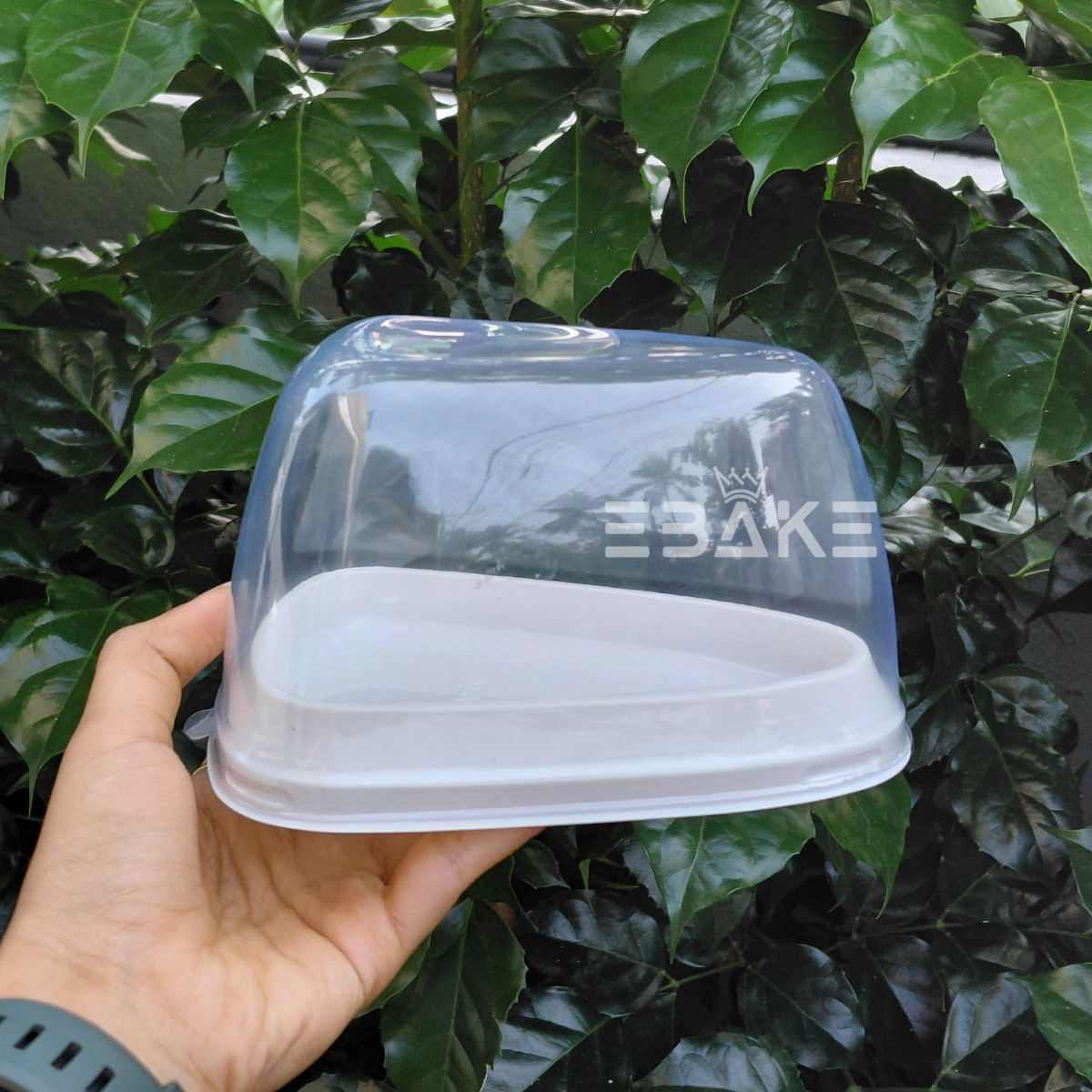 Rounded Triangle Cake Box/Pastry Box With Transparent Lid (Set of 5) White