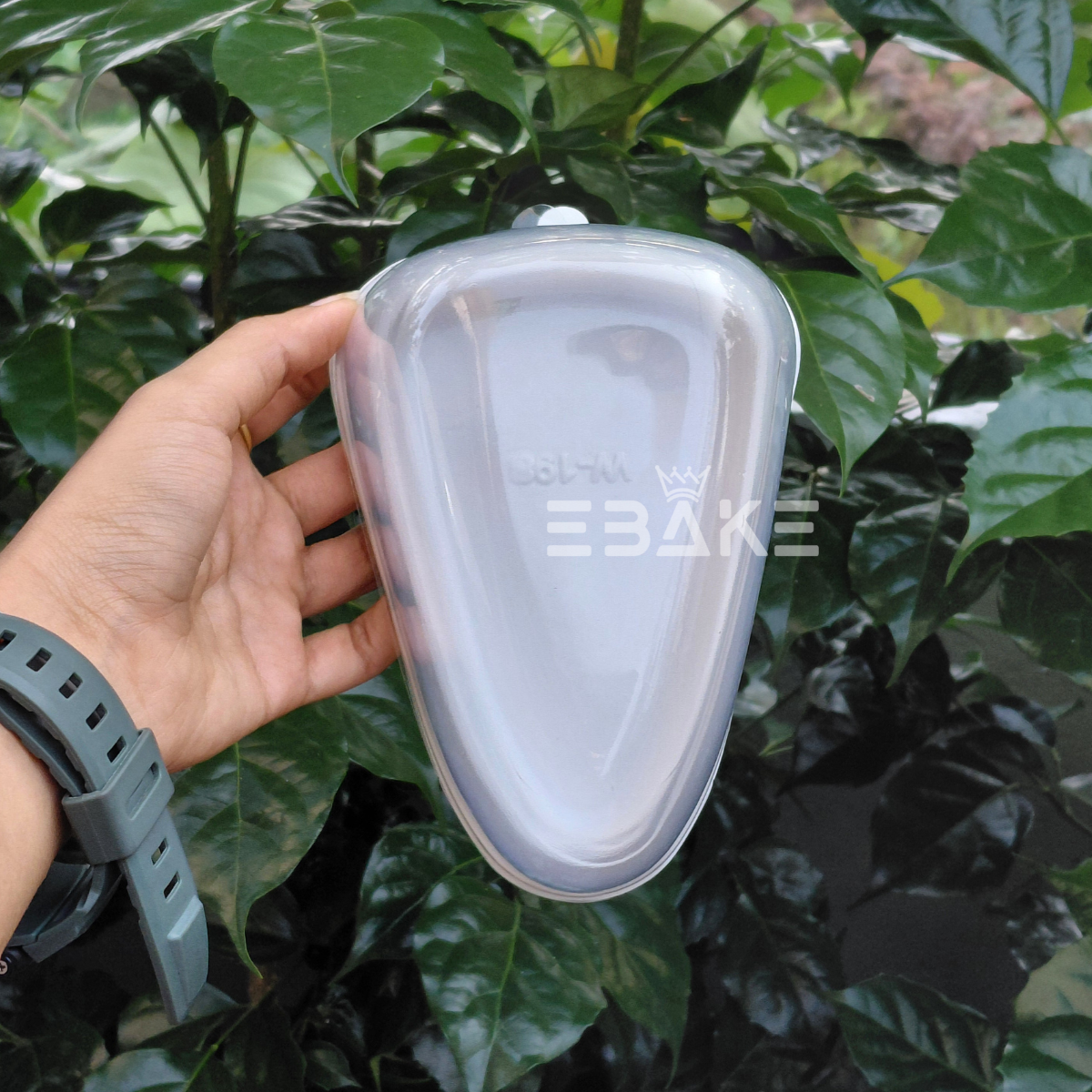 Rounded Triangle Cake Box/Pastry Box With Transparent Lid (Set of 5) White