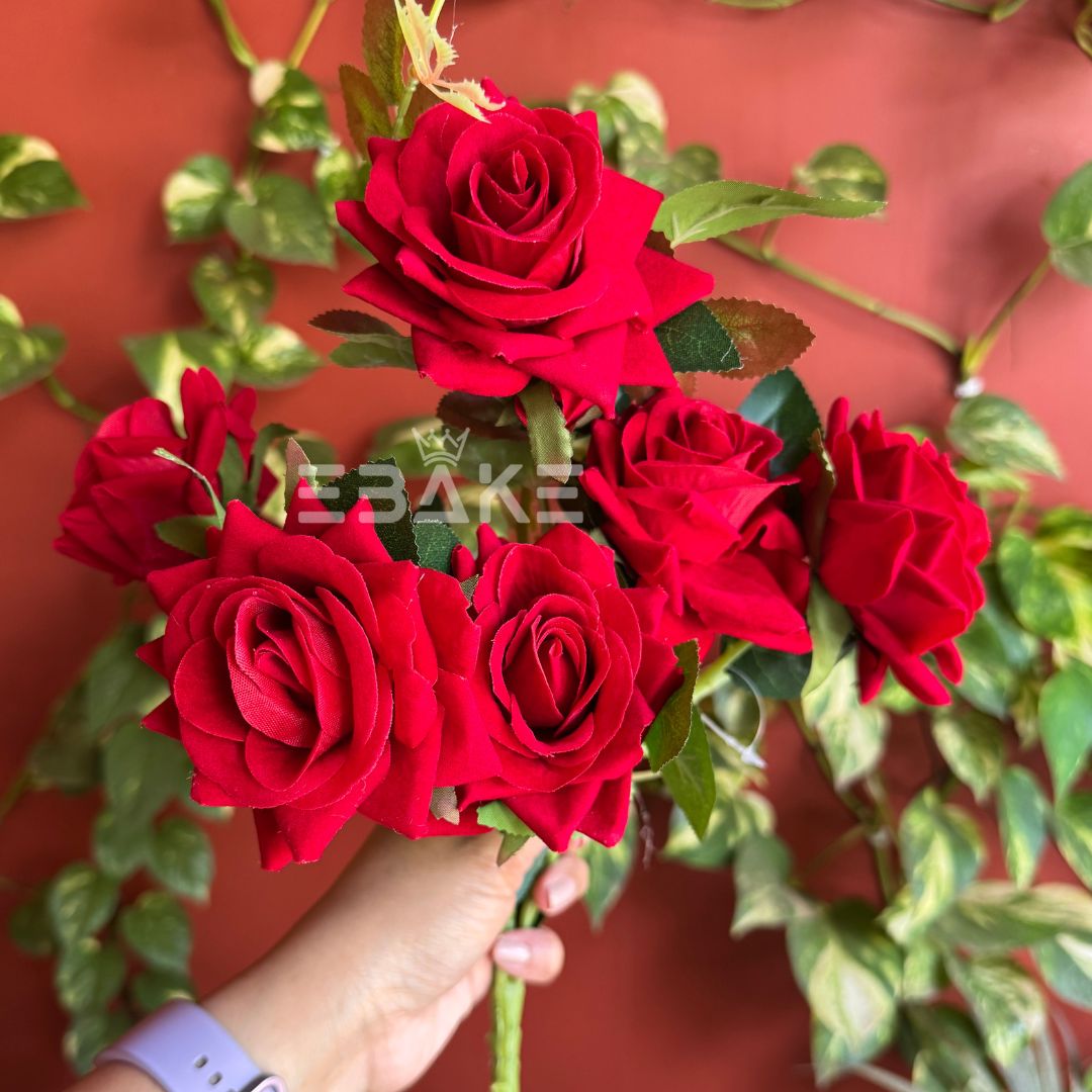 A1224 Premium Velvet Rose Bunch (5 Roses With Fillers)