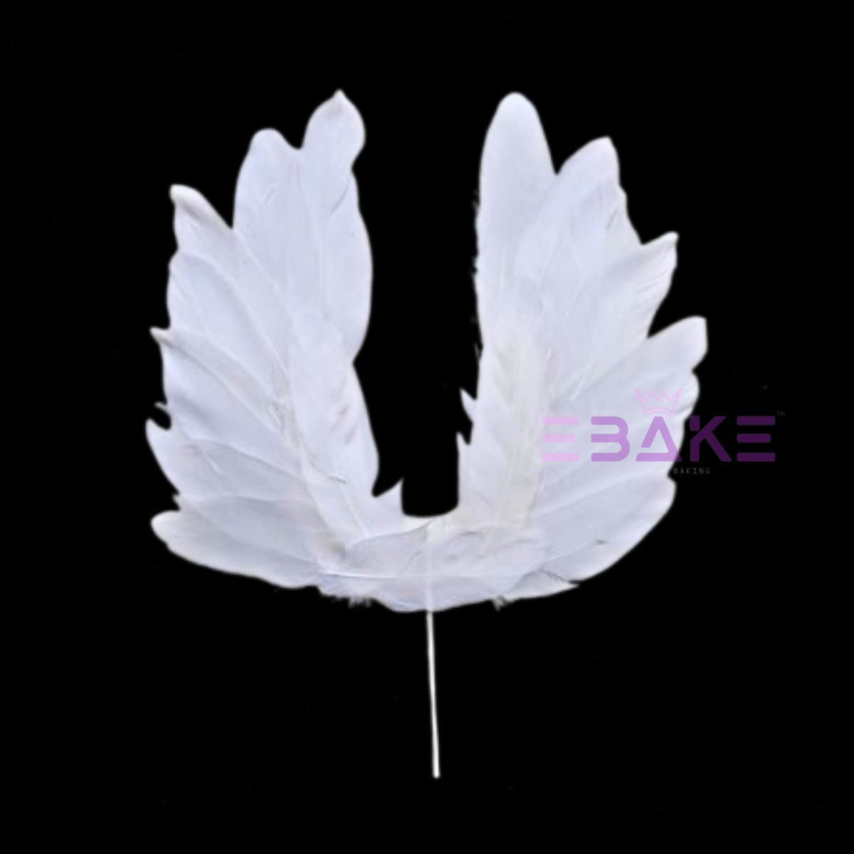 Feather Wings Set