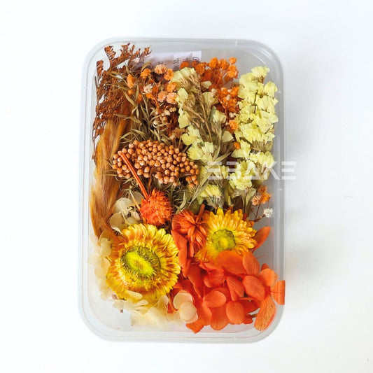 Dried Flower Assortment Box