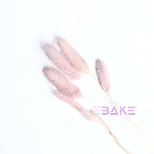 Bunny Tails Grass Light Pink (Rabbit Tails/Lagurus)