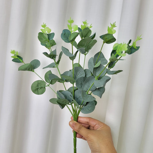 Eucalyptus Bunch A1208