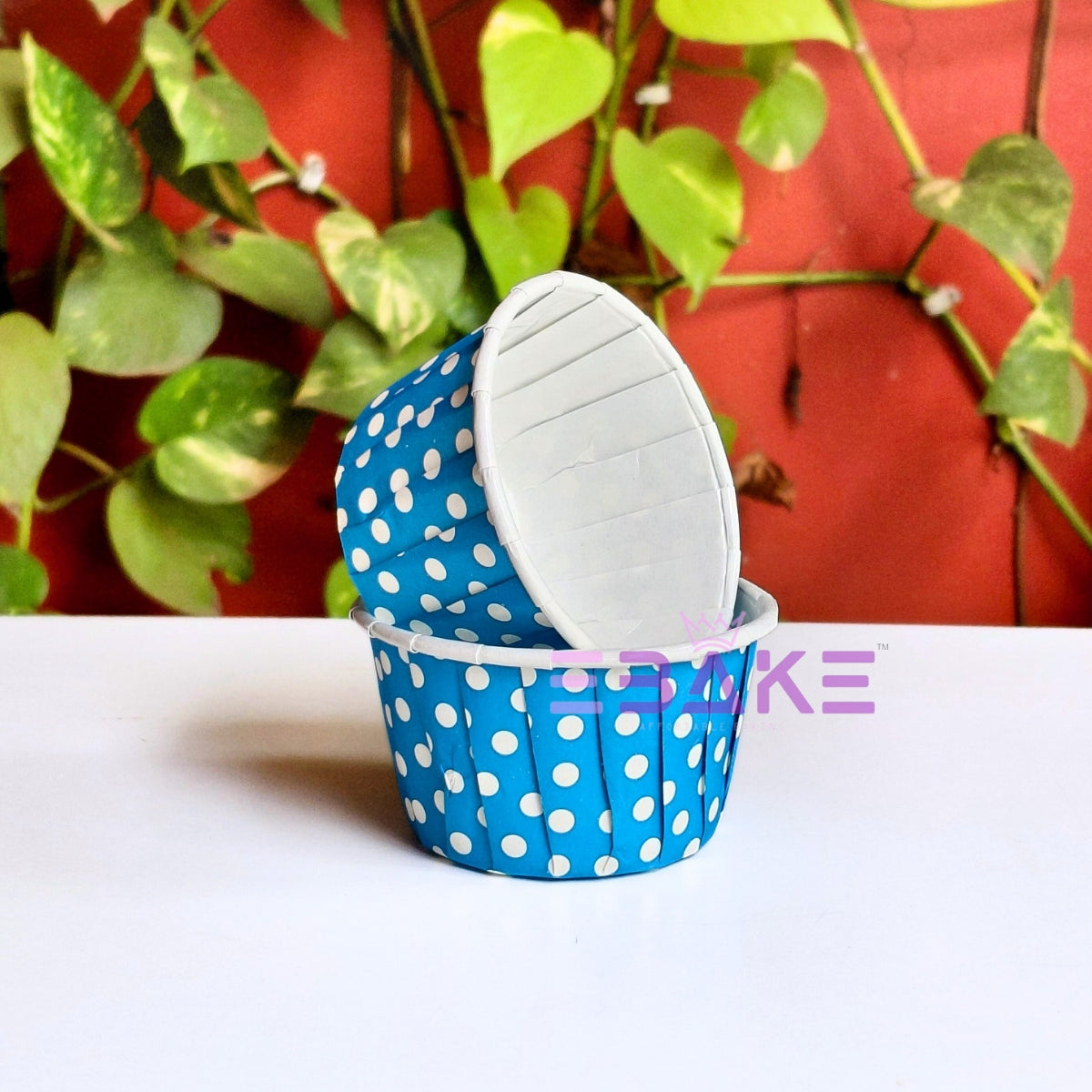 Blue Rolled Rim Muffin Cup / Cupcake Liners (Set of 50 pieces)