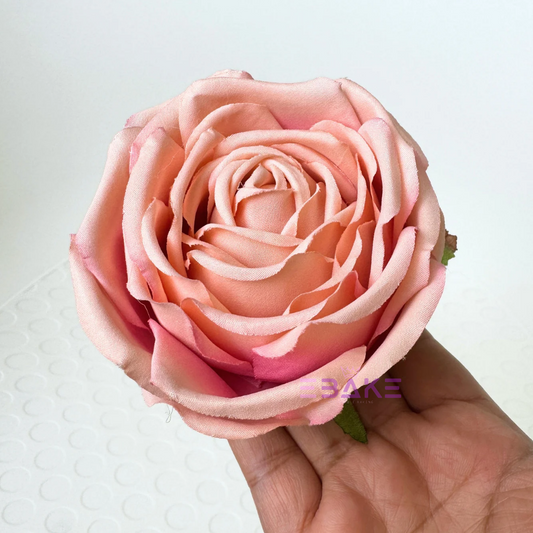 Cabbage Rose - A891 (Single Piece)