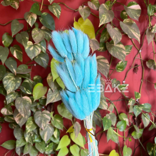 Bunny Tails Bunch Blue (Rabbit Tails/Lagurus)