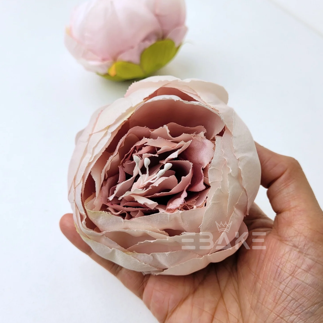 Large Peony - A1083 (Jumbo Peony)