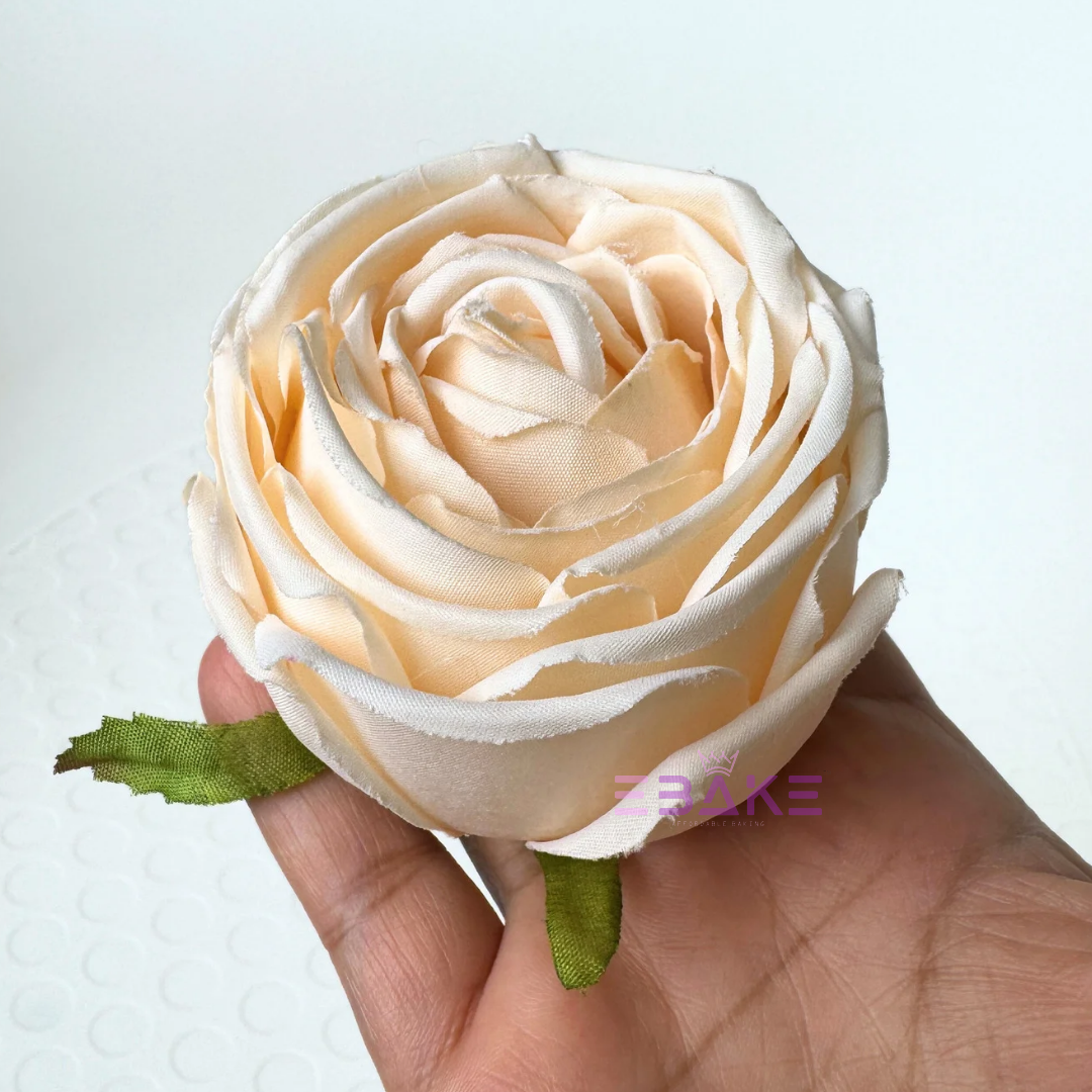 Cabbage Rose - A890 Light Cream