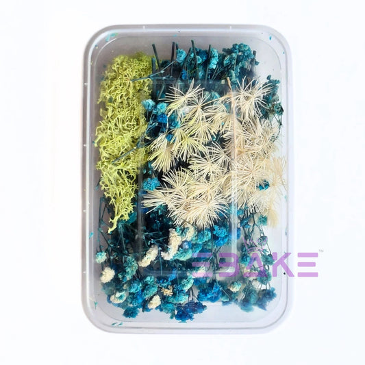 Dried Flower Assortment Box