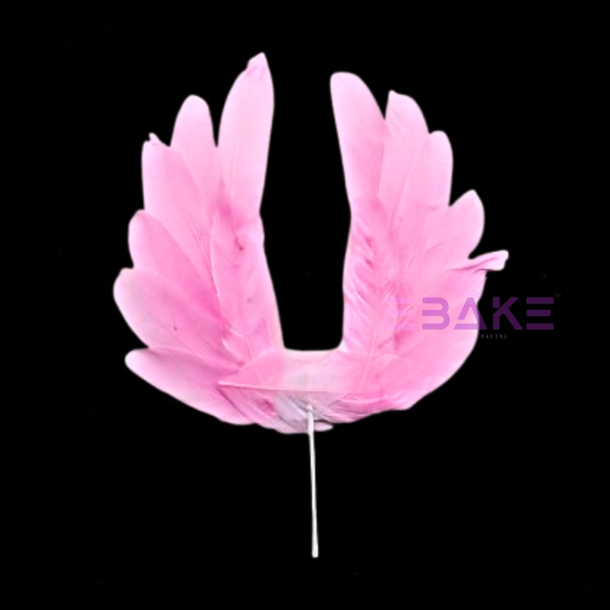 Feather Wings Set