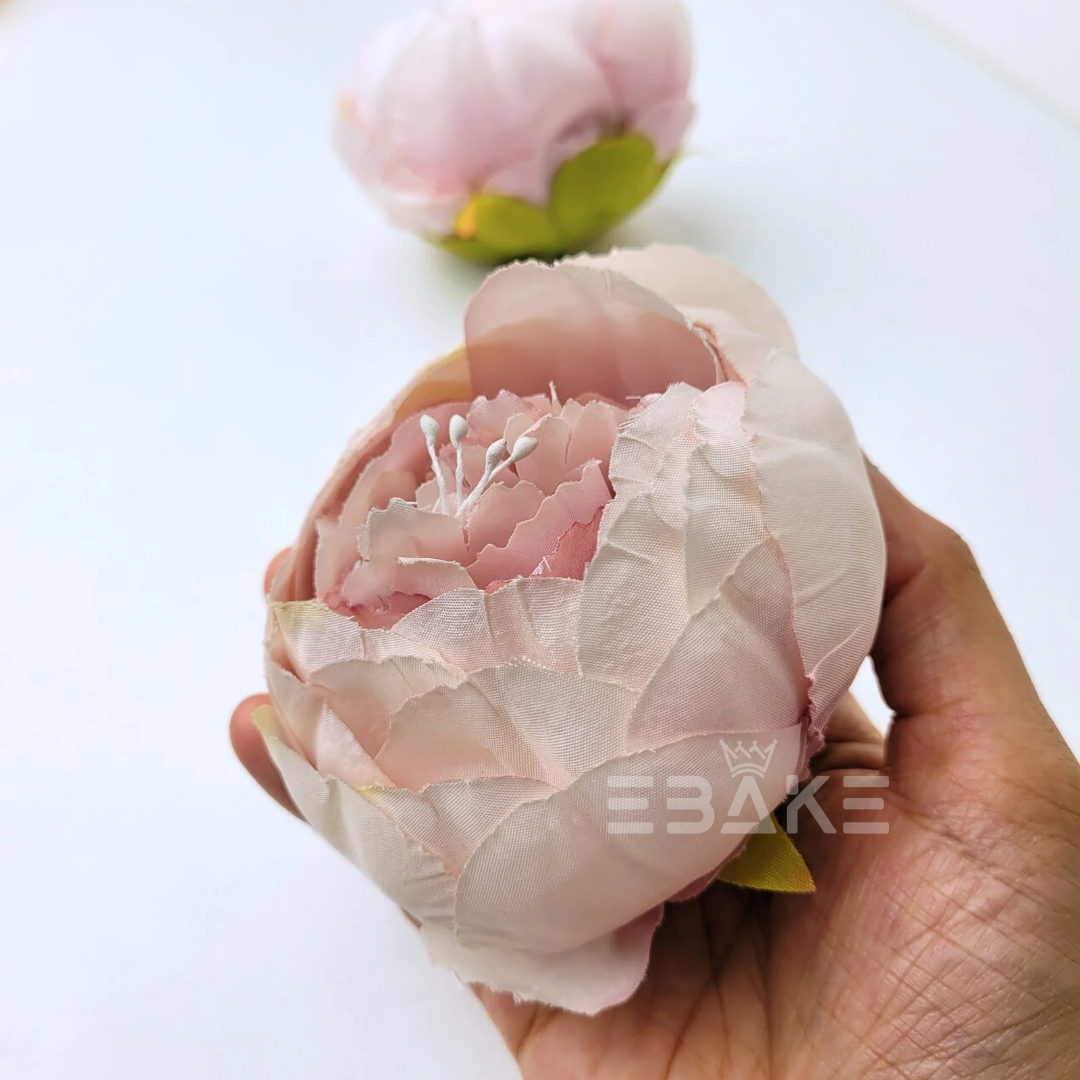 Large Peony - A1083 (Jumbo Peony)