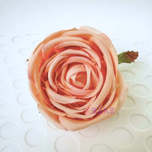 Cabbage Rose - A892 (Single Piece)