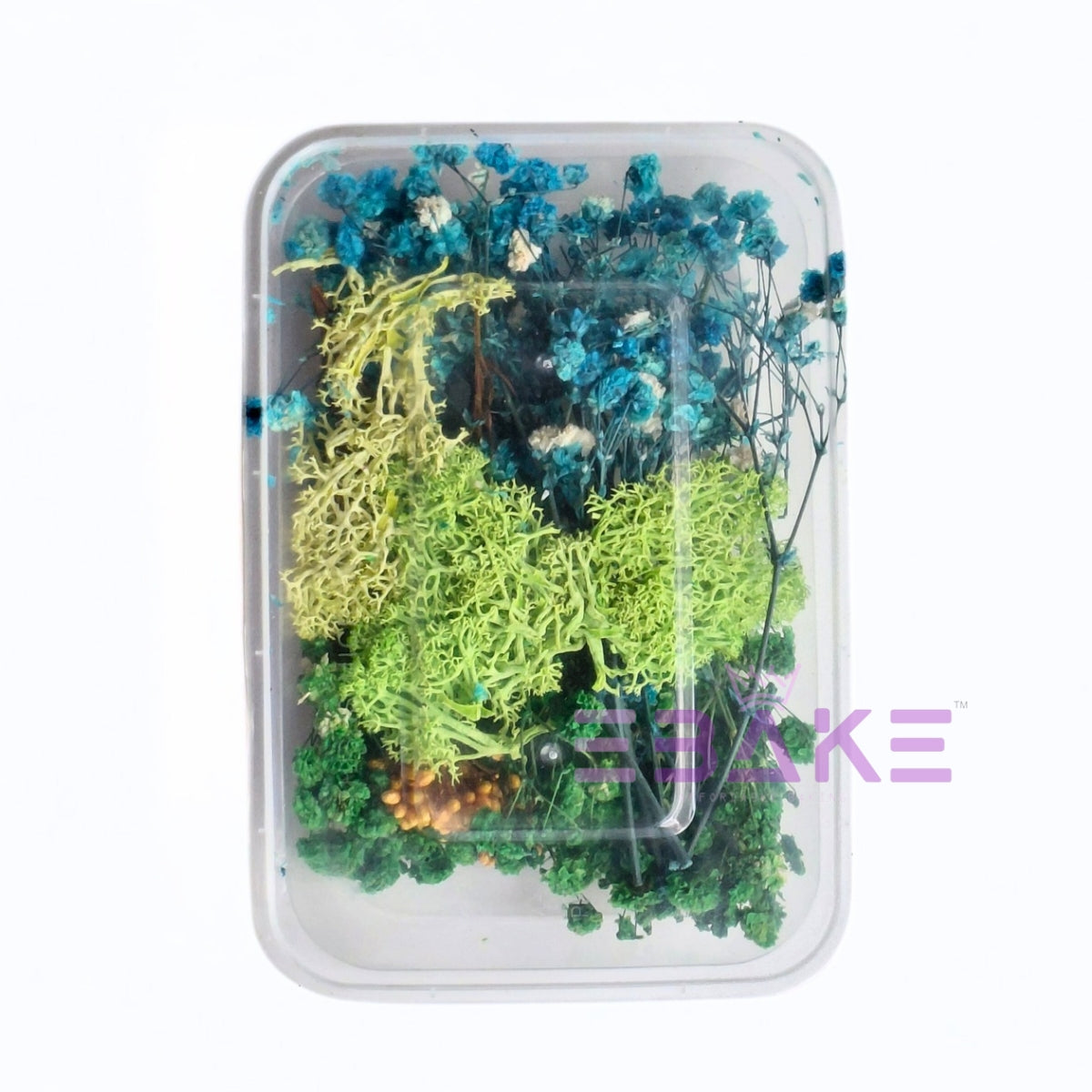 Dried Flower Assortment Box