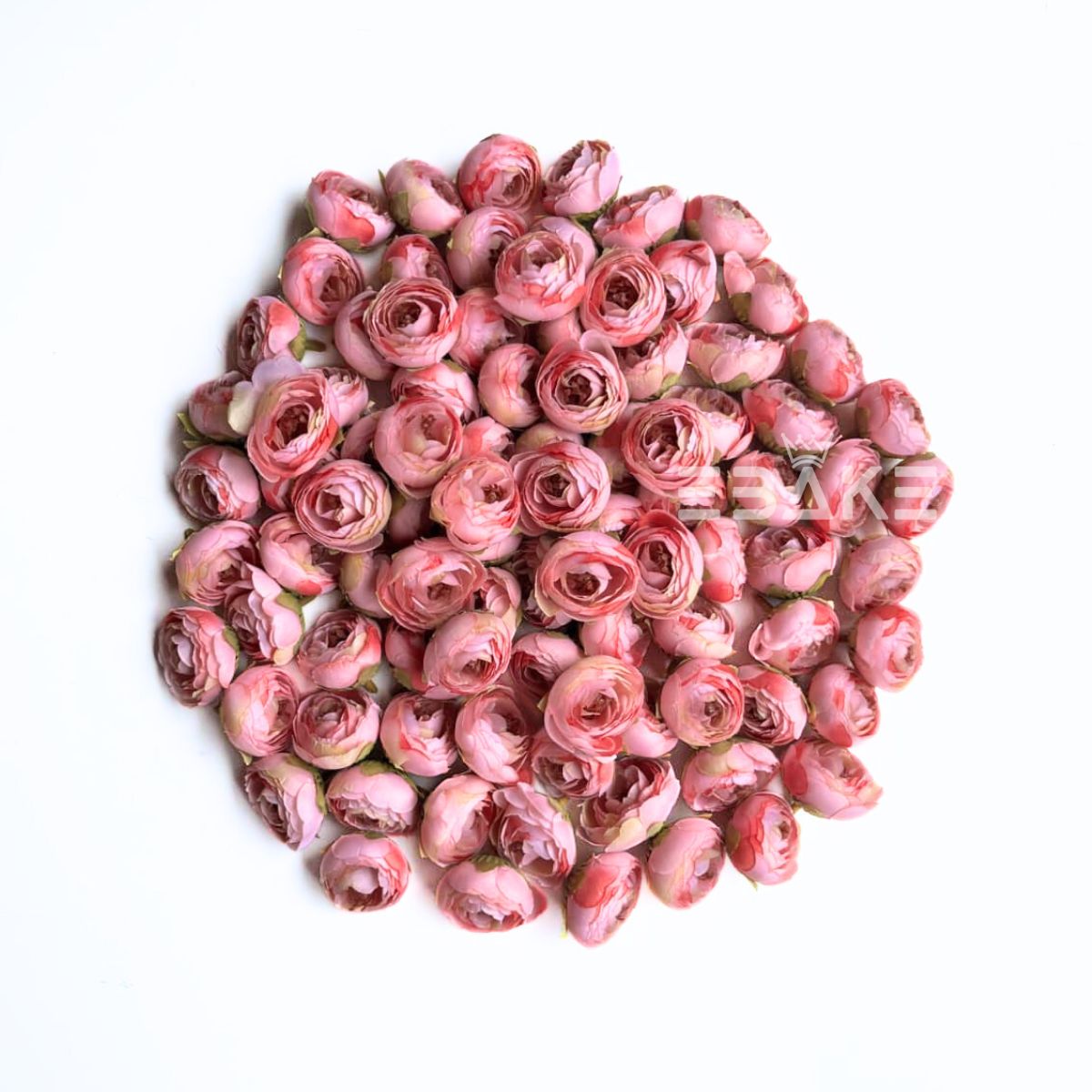 Small Peony - A1792