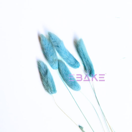 Bunny Tails Grass Blue (Rabbit Tails/Lagurus)
