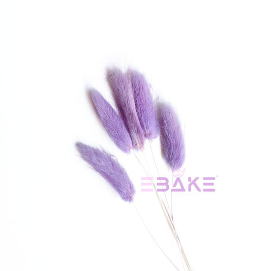 Bunny Tails Grass Lavender(Rabbit Tails/Lagurus)