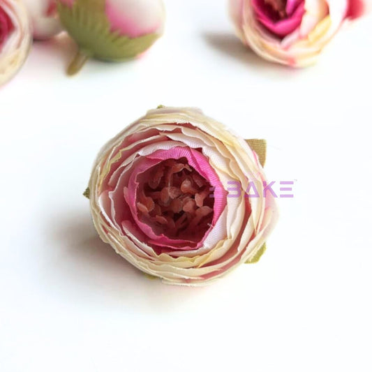 Small Peony - A1791