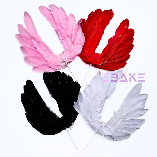 Feather Wings Set