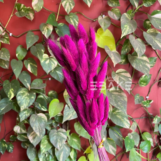 Bunny Tails Bunch  Fuchsia (Rabbit Tails/Lagurus)