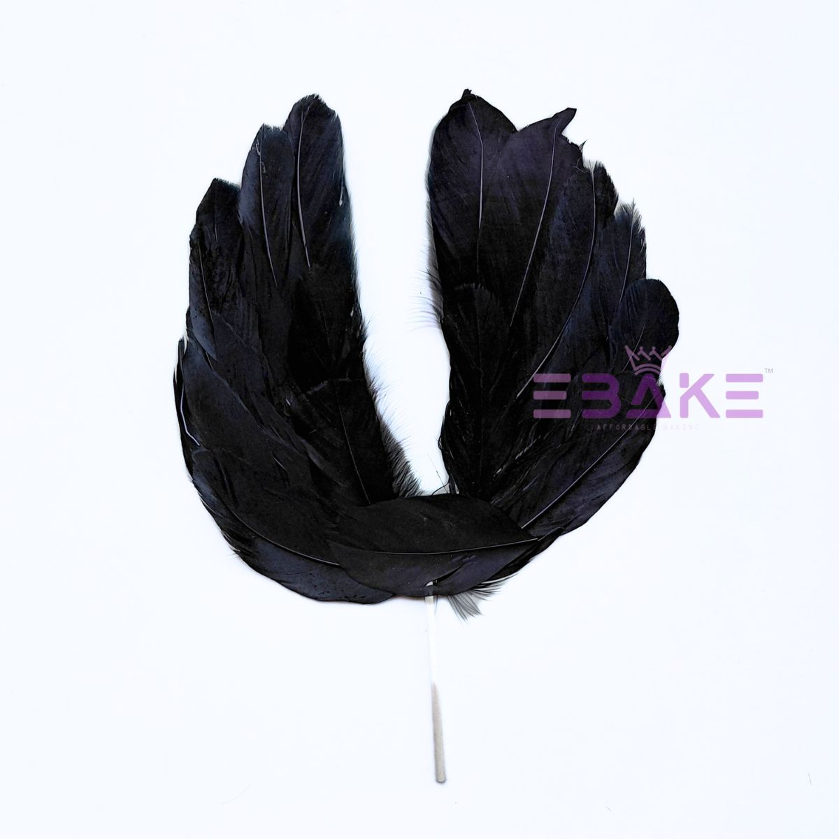 Feather Wings - Black (Single Piece)