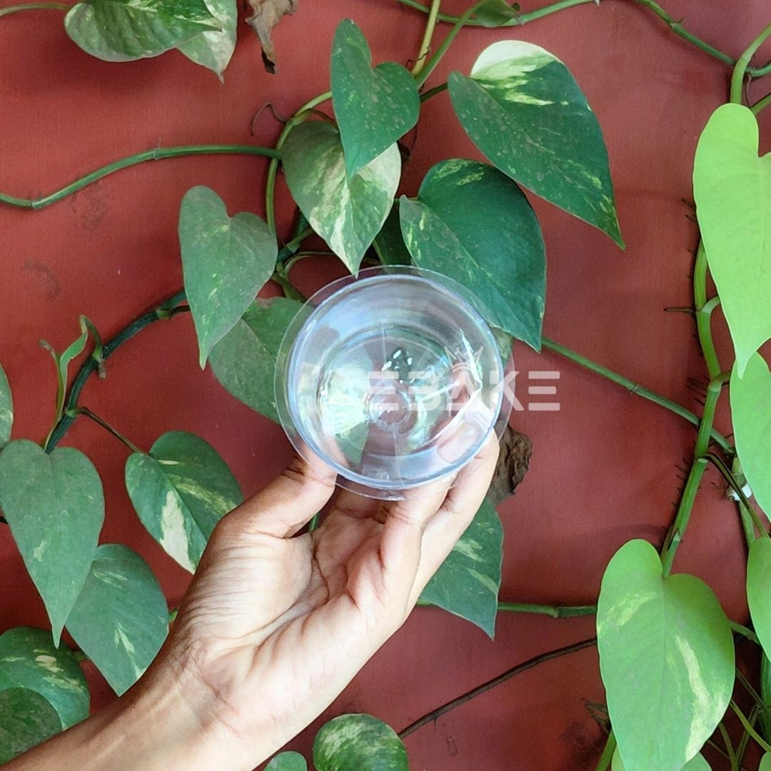 Acrylic Dessert Cups / Mousse Cups With Lid 150ml