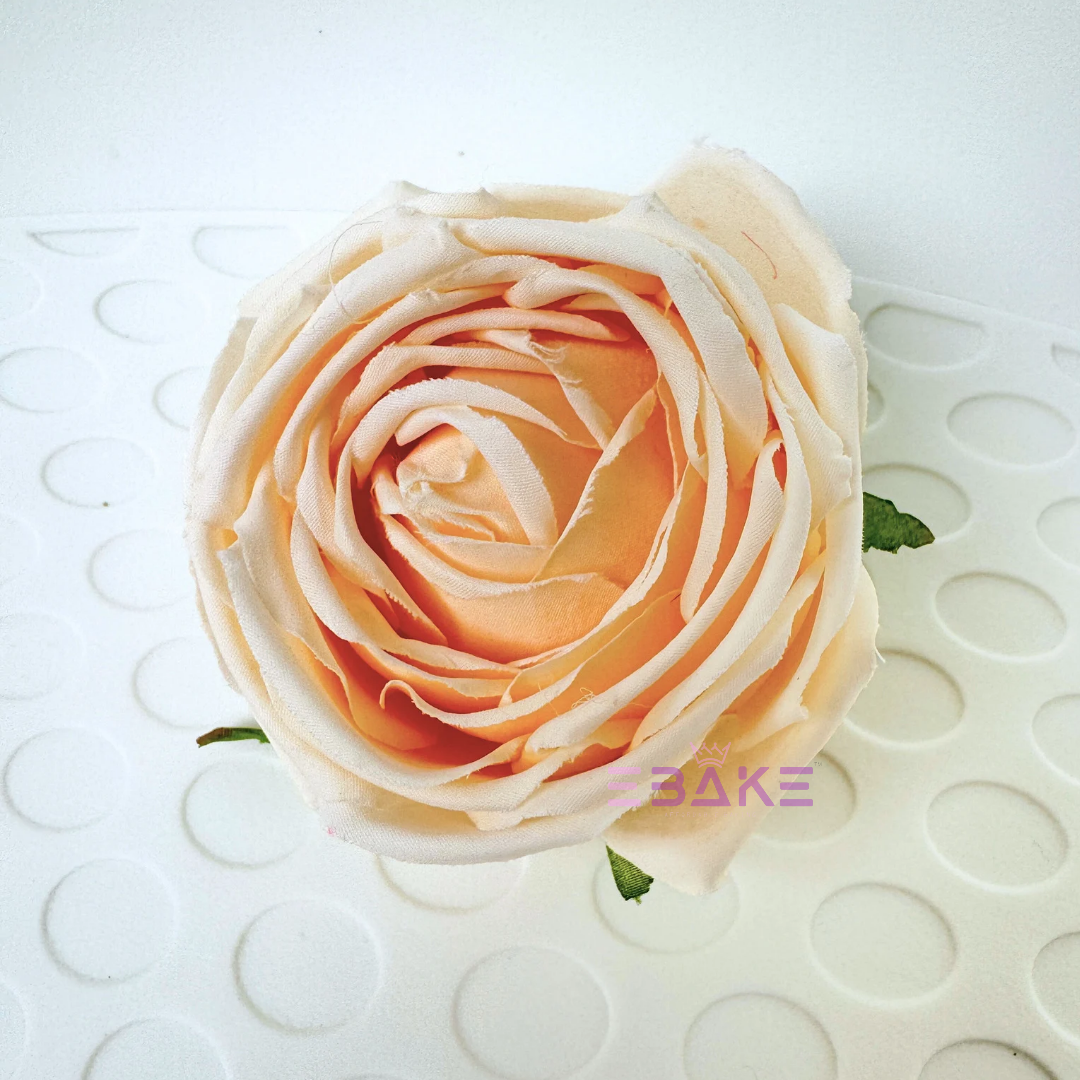 Cabbage Rose - A890 Light Cream