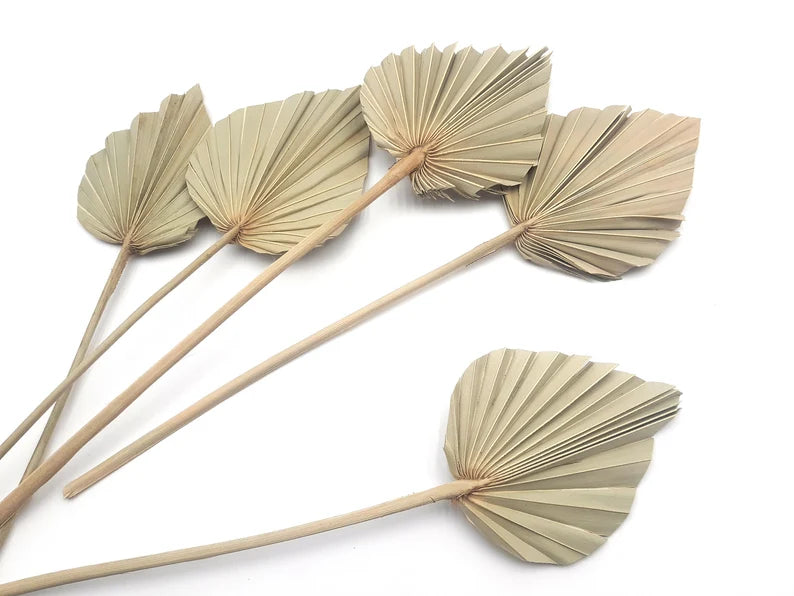 Palm Leaf - Small (Natural Colour) Single Piece