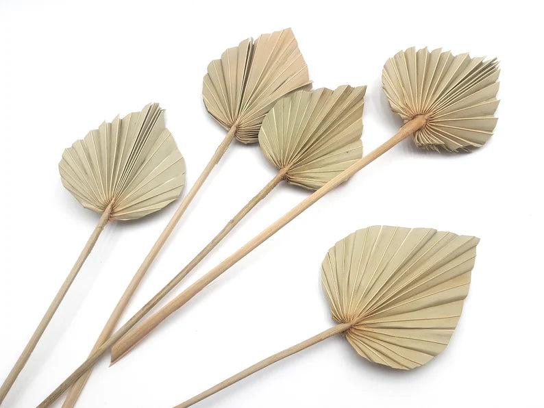 Palm Leaf - Small (Natural Colour) Single Piece