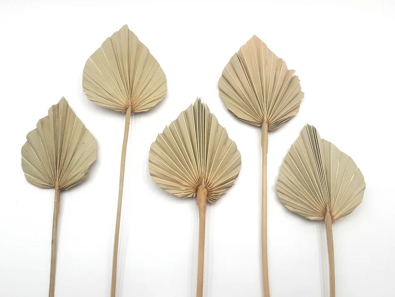 Palm Leaf - Small (Natural Colour) Single Piece