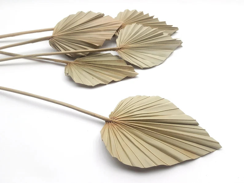 Palm Leaf - Small (Natural Colour) Single Piece