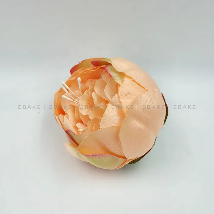 Large Peony - A155 Peach (Jumbo Peony)