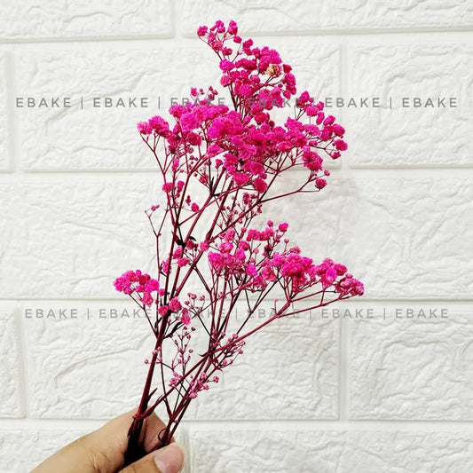 Dried Baby's Breath Bunch - Hot Pink