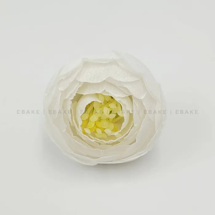 Small Peony - A116 White