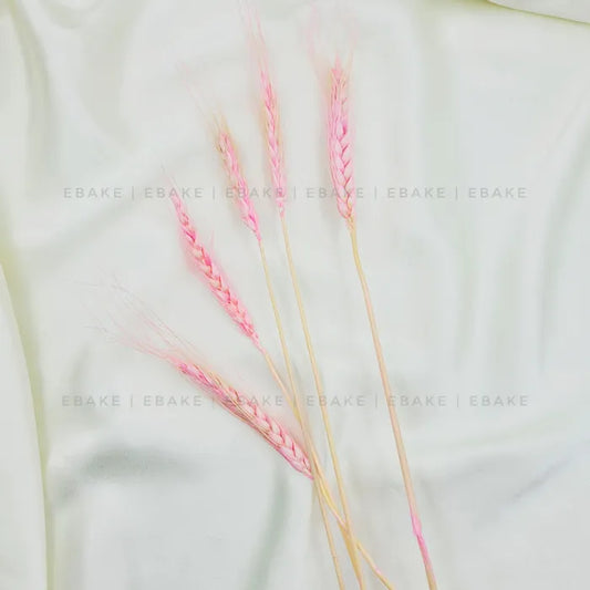 Wheat Blooms - Pink